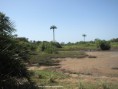 /album/photogallery/mudflats-at-makasutu-jpg/
